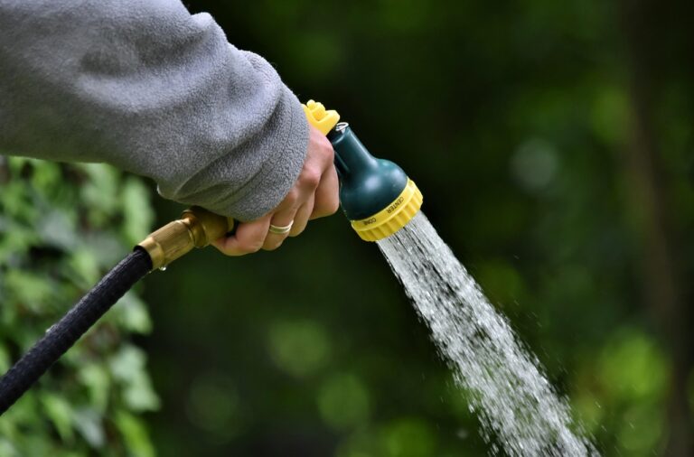 Best Eco-Friendly Watering Cans and Garden Tools for Sustainable Gardeners