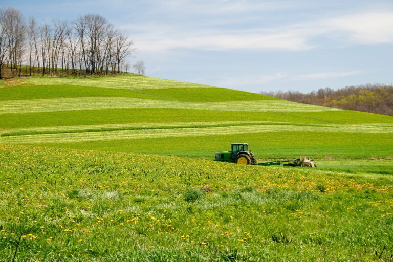 The Ultimate Farm Stay Experience Gift for City Dwellers: A Complete Guide