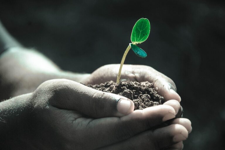 The Complete Guide to Gardening Workshop Gift Experiences