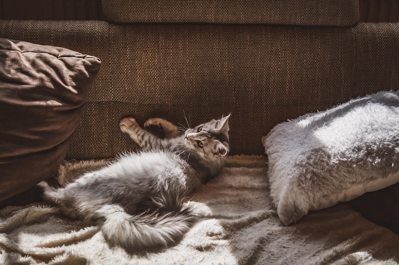 Handmade throw blanket draped over a couch in a cozy living room with soft lighting
