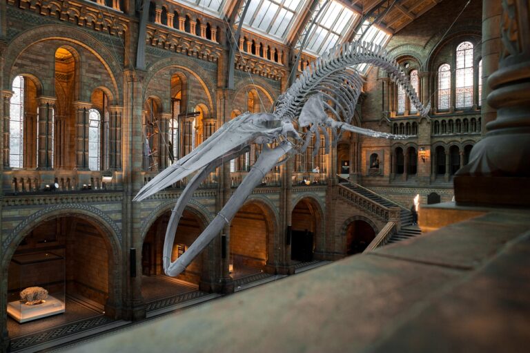 Museum Membership Gift Certificates: A Complete Guide for Culture Lovers