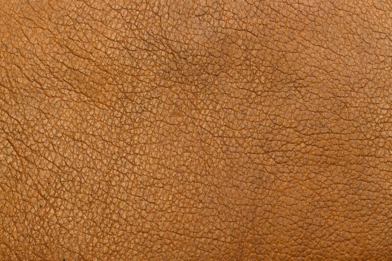 mycelium material texture closeup