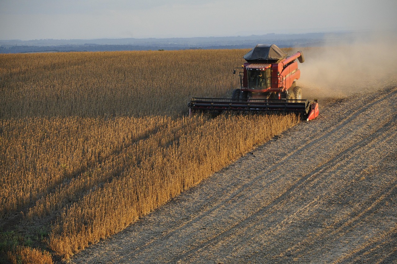 soy, combine, harvest, grains, brazil, agricultural machine, farm, harvester, crop, soy plantation, soy, soy, soy, soy, 