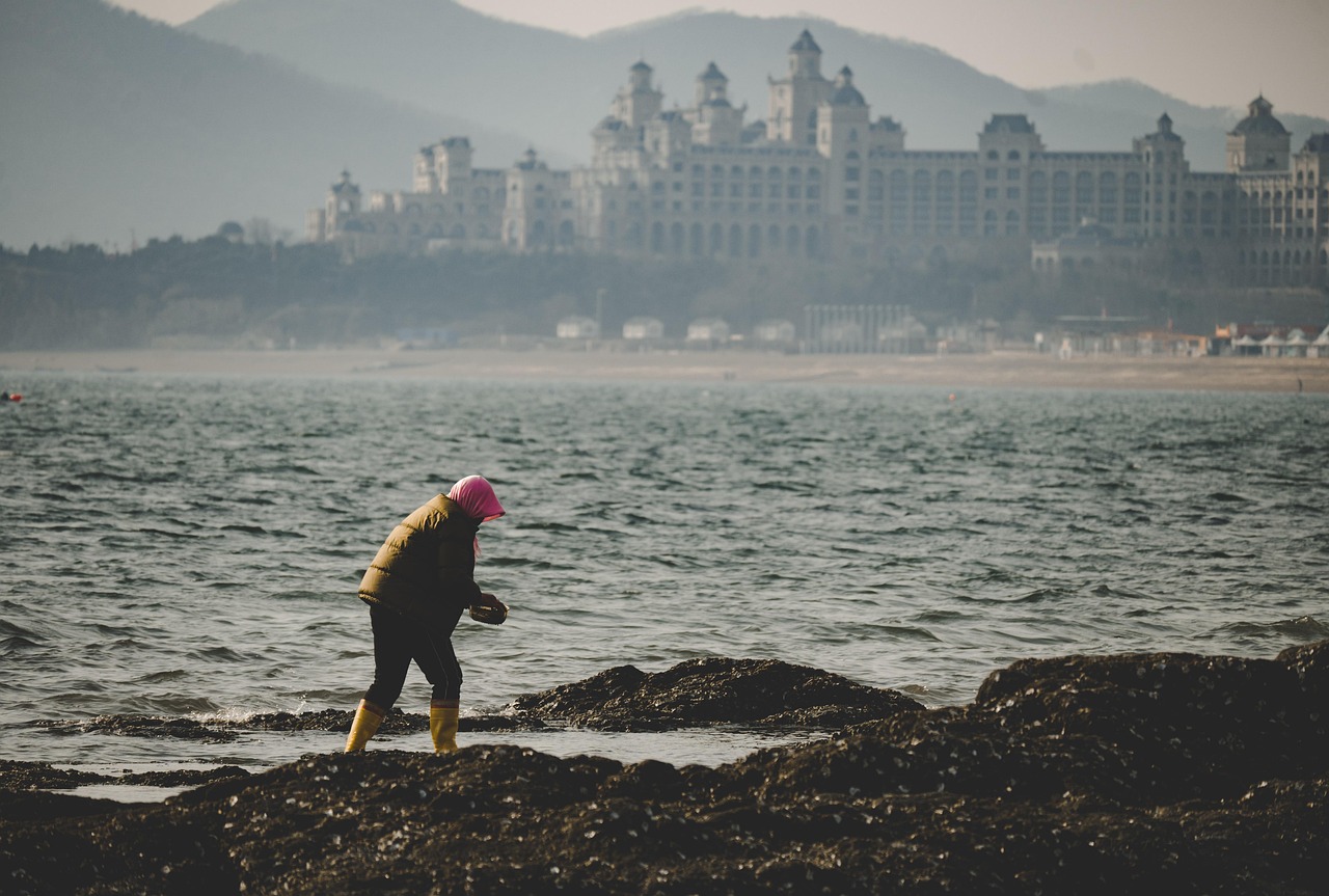 marine, to clean up, city view, artisan, labor, marine, marine, city view, city view, city view, city view, city view, l