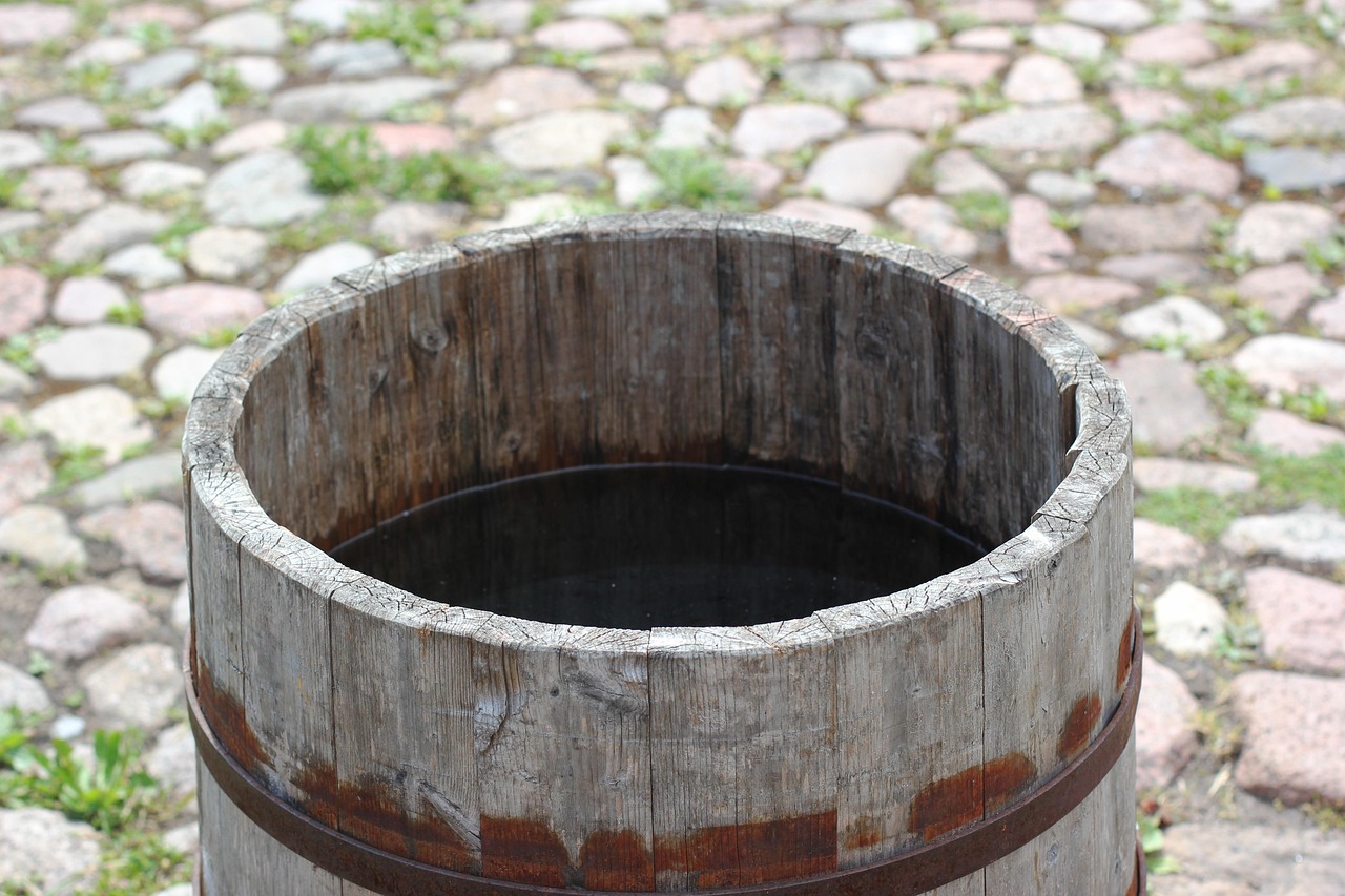 A rain barrel diverter installed on a downspout with a hose connecting to the barrel's screen