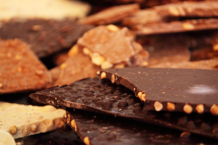 single origin dark chocolate bars selection