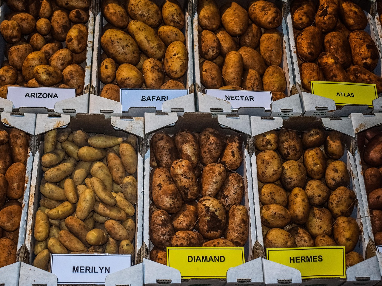 potatoes, variety, vegetable, varieties, different, brown vegetables